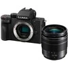 Panasonic Lumix DC-G100D + LUMIX G VARIO 12-60mm f/3.5-5.6 Asph. (Juodas)