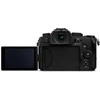 Panasonic Lumix DC-G97 + Panasonic LUMIX G Vario 12-60mm f/3.5-5.6 Asph. Power O.I.S (H-FS12060) (Juodas)