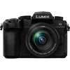 Panasonic Lumix DC-G97 + Panasonic LUMIX G Vario 12-60mm f/3.5-5.6 Asph. Power O.I.S (H-FS12060) (Juodas)