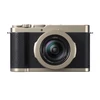 Panasonic Lumix DC-L10 (Titanium Gold)