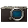 Panasonic Lumix DC-S9 Body (Titanium Gold)