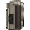 Panasonic Lumix DC-S9 Body (Titanium Gold)