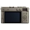 Panasonic Lumix DC-S9 Body (Titanium Gold)