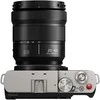 Panasonic Lumix DC-S9K + LUMIX S 20-60mm / F3.5-5.6 (Dark Sidabrinis)