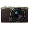Panasonic Lumix DC-S9N + LUMIX S 18-40mm / F4.5-6.3 (Titanium Gold)