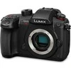 Panasonic Lumix G GH5S (DC-GH5S) + Panasonic LEICA DG VARIO-ELMARIT 12-60mm / F2.8-4.0 ASPH. / POWER O.I.S. (H-ES12060) (Juodas)