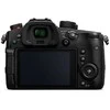 Panasonic Lumix G GH5S (DC-GH5S) + Panasonic LEICA DG VARIO-ELMARIT 12-60mm / F2.8-4.0 ASPH. / POWER O.I.S. (H-ES12060) (Juodas)