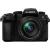 Panasonic Lumix G95D (90/91/99) + Panasonic LUMIX G Vario 12-60mm f/3.5-5.6 Asph. Power O.I.S (H-FS12060) (Juodas)