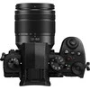 Panasonic Lumix G95D (90/91/99) + Panasonic LUMIX G Vario 12-60mm f/3.5-5.6 Asph. Power O.I.S (H-FS12060) (Juodas)