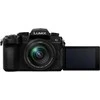 Panasonic Lumix G95D (90/91/99) + Panasonic LUMIX G Vario 12-60mm f/3.5-5.6 Asph. Power O.I.S (H-FS12060) (Juodas)