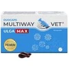 Pet papildas - JM SANTE Multiway Vet Duocaps Ulga Max 60 vnt.