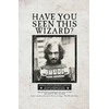 Dėlionė Plakatų ir Kišeninių Knygelių Kolekcija Harry Potter (rinkinys iš 3 dalių) Insight Editions