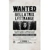 Dėlionė Plakatų ir Kišeninių Knygelių Kolekcija Harry Potter (rinkinys iš 3 dalių) Insight Editions