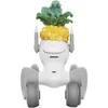 Megztas kostiumas Loona Premium Pineapple
