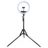 Puluz LED žiedinė lempa 34.5cm