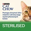 Purina Nestle Drėgnas Kačių Maistas - PURINA Cat Chow Sterilizuotoms Katėms Su Vištiena Ir Baklažanu 85 g