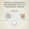 Purina Nestle Drėgnas Šunų Maistas - PURINA One Mini/Small Active Su Jautiena 85g