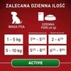 Purina Nestle Drėgnas Šunų Maistas - PURINA One Mini/Small Active Su Jautiena 85g
