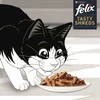 Purina Nestle Drėgnas Kačių Maistas - Felix Skanūs Šiaudeliai Su Lašiša Ir Tunu, 4x 80g
