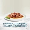 Purina Nestle Drėgnas Kašių Maistas - PURINA Gourmet Perle Mini Filė Padaže, 60x85g