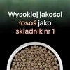 Purina Nestle Purina Pro Plan LIVECLEAR STERILISED ADULT Bogata w Łososia 1,4kg