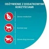 Purina Nestle Sausas kačių maistas - Purina One Sterilcat Jautiena 9,75 kg