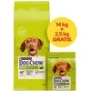 Purina Nestle Šunų maistas - PURINA Dog Chow Adult ėriena 16,5kg