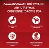 Purina Nestle ONE MINI Dog Sensitive lašiša & ryžiai 1,5kg