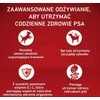 Purina Nestle ONE Medium/Maxi Adult kalakutiena & ryžiai 2,5kg