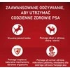Purina Nestle ONE Medium/Maxi Adult jautiena & ryžiai 12kg