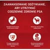 Purina Nestle ONE MINI Dog Adult jautiena & ryžiai 1,5kg
