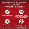 Purina Nestle ONE Medium/Maxi Adult Sensitive lašiša&ryžiai 2,5kg