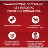 Purina Nestle ONE Medium/Maxi Adult Dog ėriena & ryžiai 2,5kg