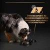 Purina Nestle Šunų Maistas - PURINA Pro Plan Everyday Nutrition All Size Adult žuvis in Jelly 400g