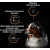 Purina Nestle Šunų Maistas - PURINA Pro Plan Everyday Nutrition All Size Adult žuvis in Jelly 400g