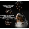 Purina Nestle Šunų Maistas - PURINA Pro Plan Kasdienė Mityba Kalakutienoje Želyje 400g Be Grūdų