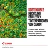 Canon GI-55 C EUR žydras