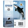 Rašalo Kasetė - Epson C13T76074010 Aukštos Kokybės Juodas Rašalas