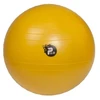 Reha Fund ABS PILO-1045 REHAFUND Rehabilitation Ball