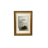 Rėmas - Imagee 40x60 Plastikas 1306025 VESTA Rėmas, 31mm, Auksinė