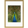 Rėmelis - Goldbuch GB 900815 Pino 20x30/15x20 Medinis Auksinis