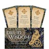 Rockpool Druid Wisdom Inspiration Kortos