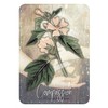 Rockpool Magickal Herb Oracle Kortos
