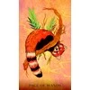 Rockpool Oriens Animal Tarot Taro Kortos