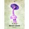 Rockpool Publishing Mushroom Spirit Oracle Kortos