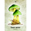 Rockpool Publishing Mushroom Spirit Oracle Kortos