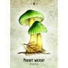 Rockpool Publishing Mushroom Spirit Oracle Kortos