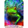 Rockpool Sacred Spirit Reading Kortos