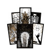 Rockpool Tarot Of The Sorceress Taro Kortos