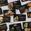 Rockpool The Language Of Flowers Inspiration Kortos